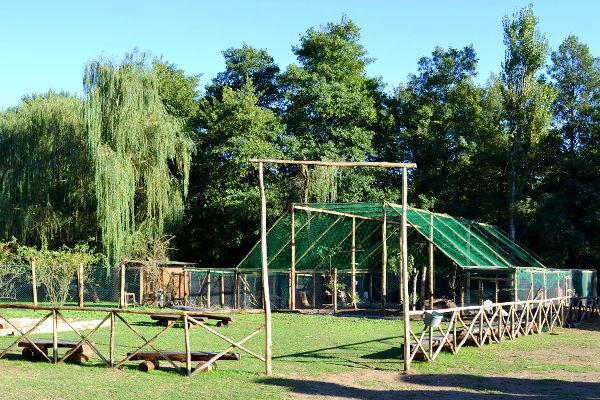 Agriturismo La Sorgente Di Nepi Hotel Zewnętrze zdjęcie